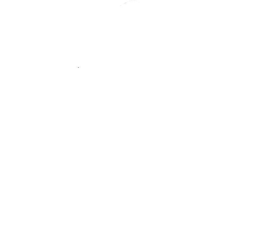 New York Bank Ratings Index logo